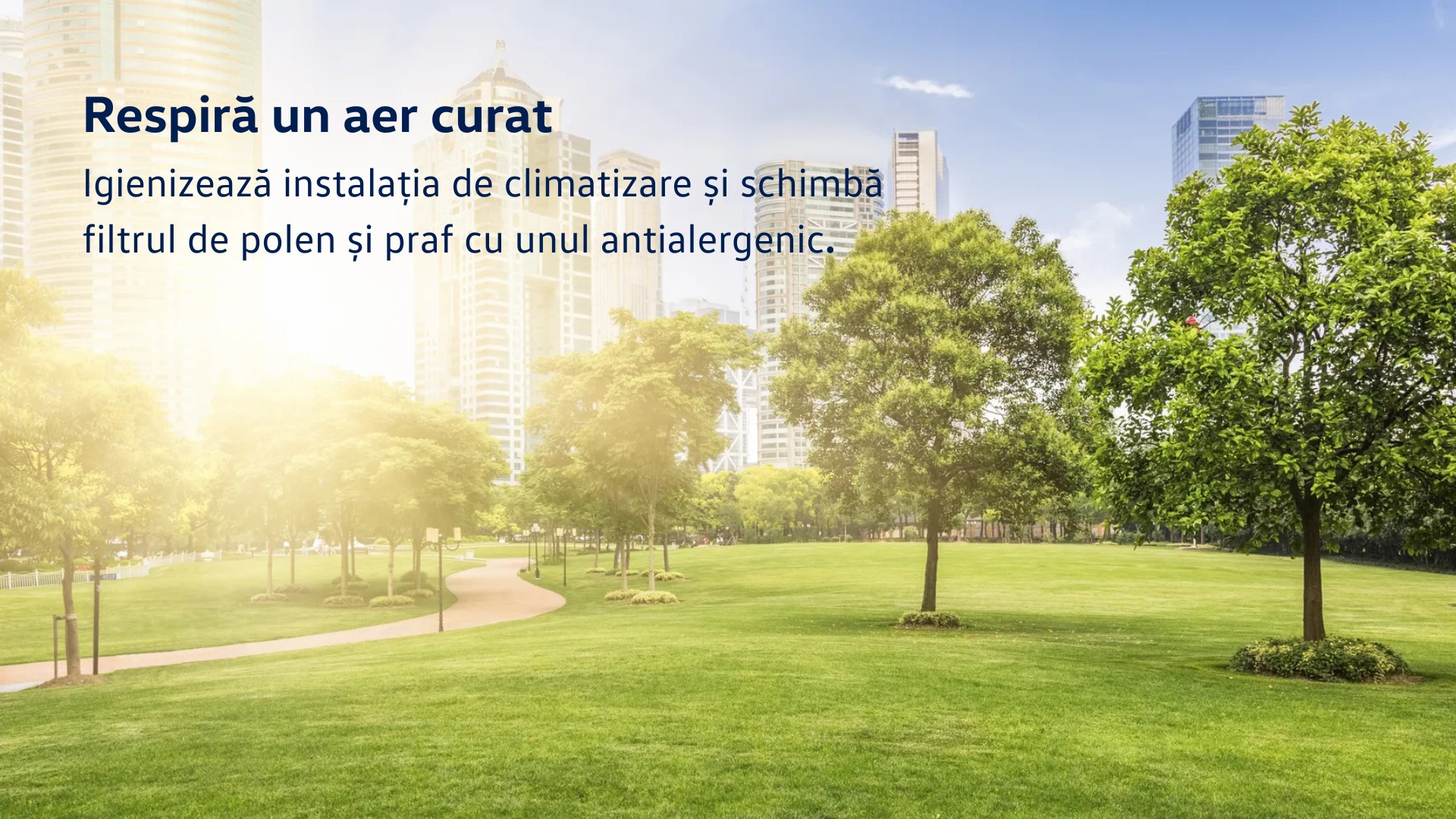 igienizare_climatizare_auto_vw.jpeg